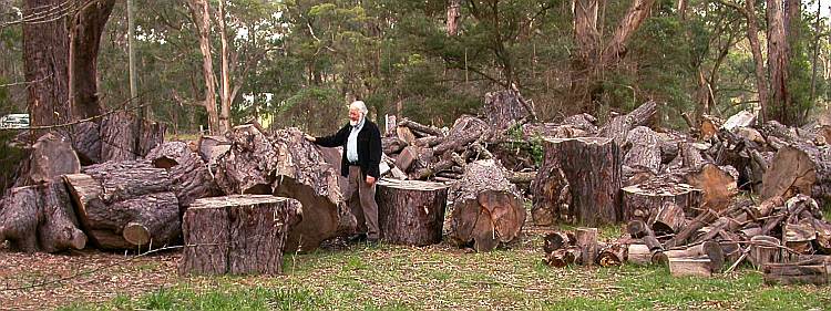 Arthur Rosser admiring the wood supply at Sturt Pottery